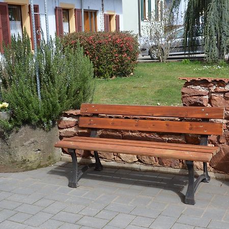 Ferienwohnungen Am Brunnen - Naehe Europapark, W-Lan, Klimaanlage Rheinhausen Esterno foto